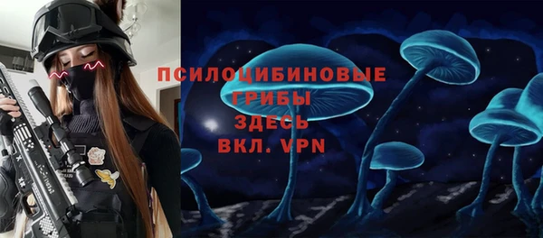 дживик Новокубанск