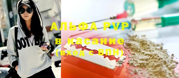 гашик Новодвинск