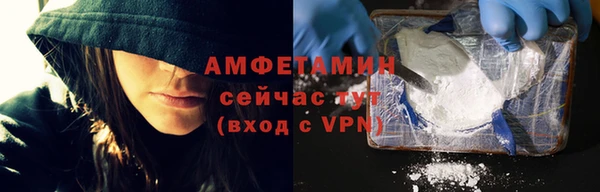 гашик Новодвинск