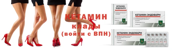 каннабис Новозыбков