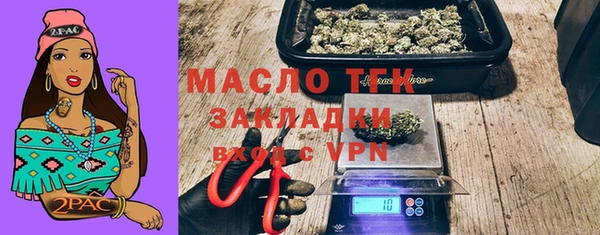 гашик Новодвинск