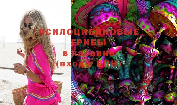 каннабис Новозыбков