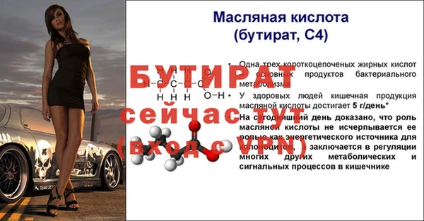 гашик Новодвинск