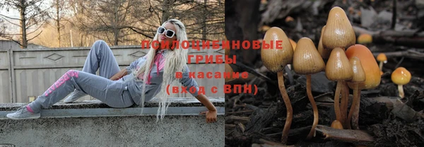 гашик Новодвинск