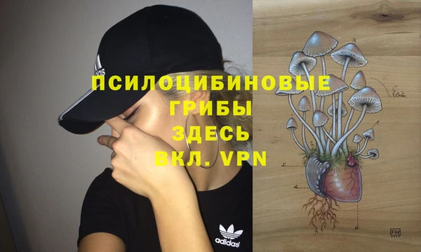дживик Новокубанск