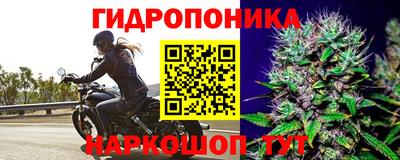 соль ск Гусь-Хрустальный