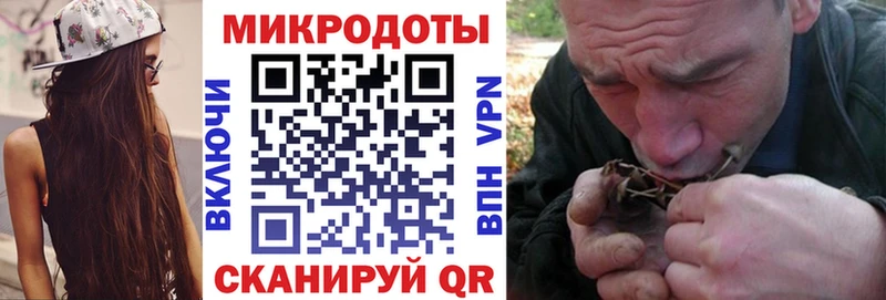 где можно купить Коркино Псилоцибиновые грибы MAGIC MUSHROOMS