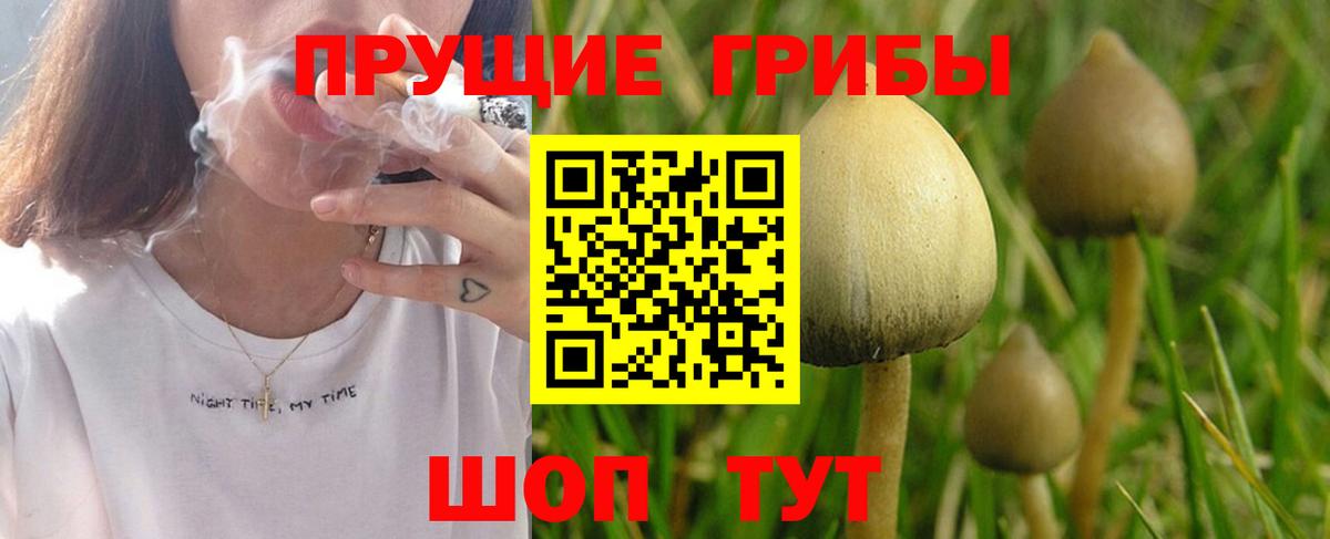 Псилоцибиновые грибы мухоморы  Псилоцибиновые грибы GOLDEN TEACHER  Коркино  Вход с VPN 